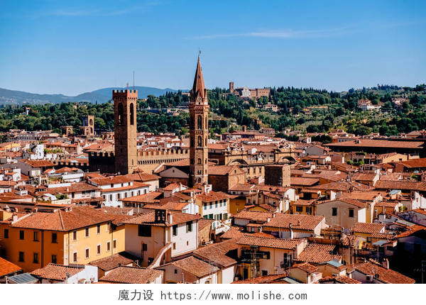 蓝天下的美丽城镇美丽的城市景观与历史建筑和屋顶在佛罗伦萨, 意大利  
